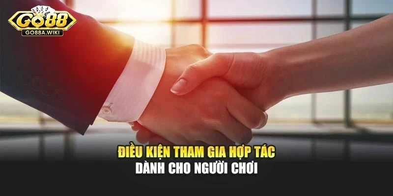 Điều kiện tham gia hợp tác dành cho người chơi Điều kiện tham gia hợp tác dành cho người chơi